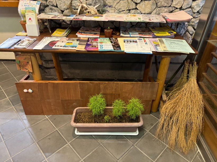 チラシ置き場と足元にプランターに植った3本のコキア